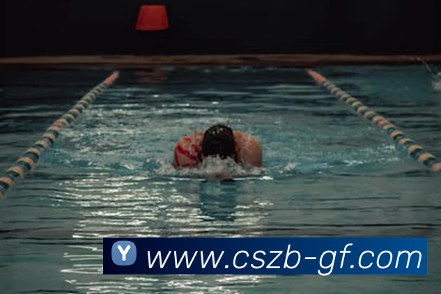 App Interface Preview